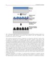 Piezoelectric Ceramics