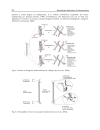 Biomaterials Applications for Nanomedicine