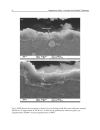 Magnesium Alloys Corrosion and Surface Treatments