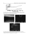 Magnesium Alloys Corrosion and Surface Treatments