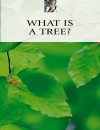 Trees Eyewitness Companion Guides