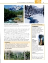 Trees Eyewitness Companion Guides