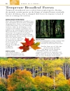 Trees Eyewitness Companion Guides