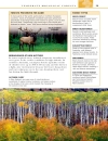 Trees Eyewitness Companion Guides