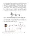 Applications of Ionic Liquids in Science and Technology