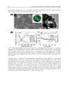 Lithium ion Batteries