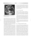 Physical Processes in Earth and Environmental Sciences