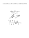 Biaxial Multiaxial Fatigue and Fracture Volume 31