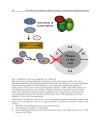 The Impact of Air Pollution on Health Economy Environment and Agricultural Sources