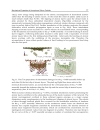 Silicon Carbide Materials Processing and Applications in Electronic Devices