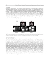 Silicon Carbide Materials Processing and Applications in Electronic Devices