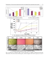 Tissue Engineering