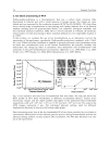 Polymer Thin Films