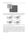 Polymer Thin Films