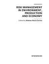 Risk Management in Environment Production and Economy