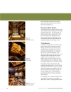 Case Studies of Outstanding Wood Buildings