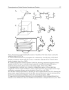 Application of Thermodynamics to Biological and Materials Science