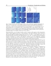 Ferroelectrics Characterization and Modeling