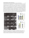 Solar Cells Dye Sensitized Devices