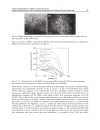 Solar Cells Dye Sensitized Devices