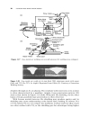 Welding Metallurgy