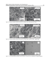 Aluminium Alloys Theory and Applications