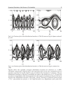 Numerical Simulations Applications Examples and Theory