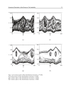 Numerical Simulations Applications Examples and Theory