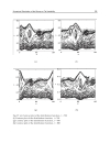 Numerical Simulations Applications Examples and Theory