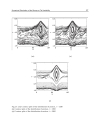 Numerical Simulations Applications Examples and Theory