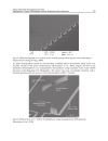 Nanowires Fundamental Research