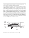 Optoelectronics Devices and Applications