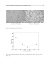 Special Issues on Magnesium Alloys 1