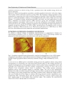 Physics and Applications of Graphene Experiments