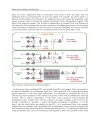 Radio Communications