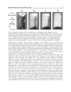 Femtosecond Scale Optics