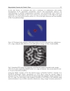 Femtosecond Scale Optics