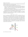 Holography Different Fields of Application