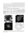 Advances in Diverse Industrial Applications of Nanocomposites