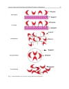 Biopolymers