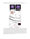 Nanocrystals