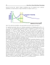 Solar Cells Silicon Wafer Based Technologies