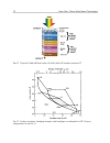 Solar Cells Silicon Wafer Based Technologies