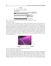 Solar Cells Silicon Wafer Based Technologies