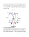 Solar Cells Silicon Wafer Based Technologies