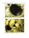 Recent Trends in Processing and Degradation of Aluminium Alloys