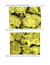 Recent Trends in Processing and Degradation of Aluminium Alloys