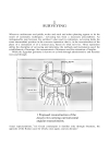 Roman Building Materials and Techniques