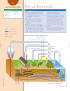 Weather and Climate