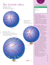 Weather and Climate